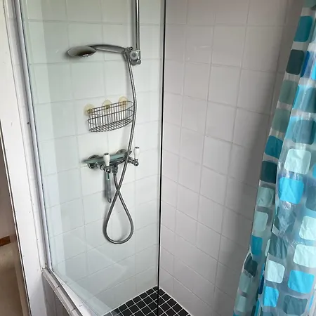 Fried גיפהורן