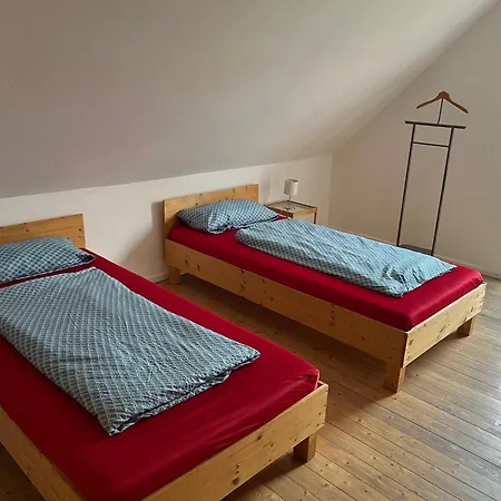 Fried * גיפהורן